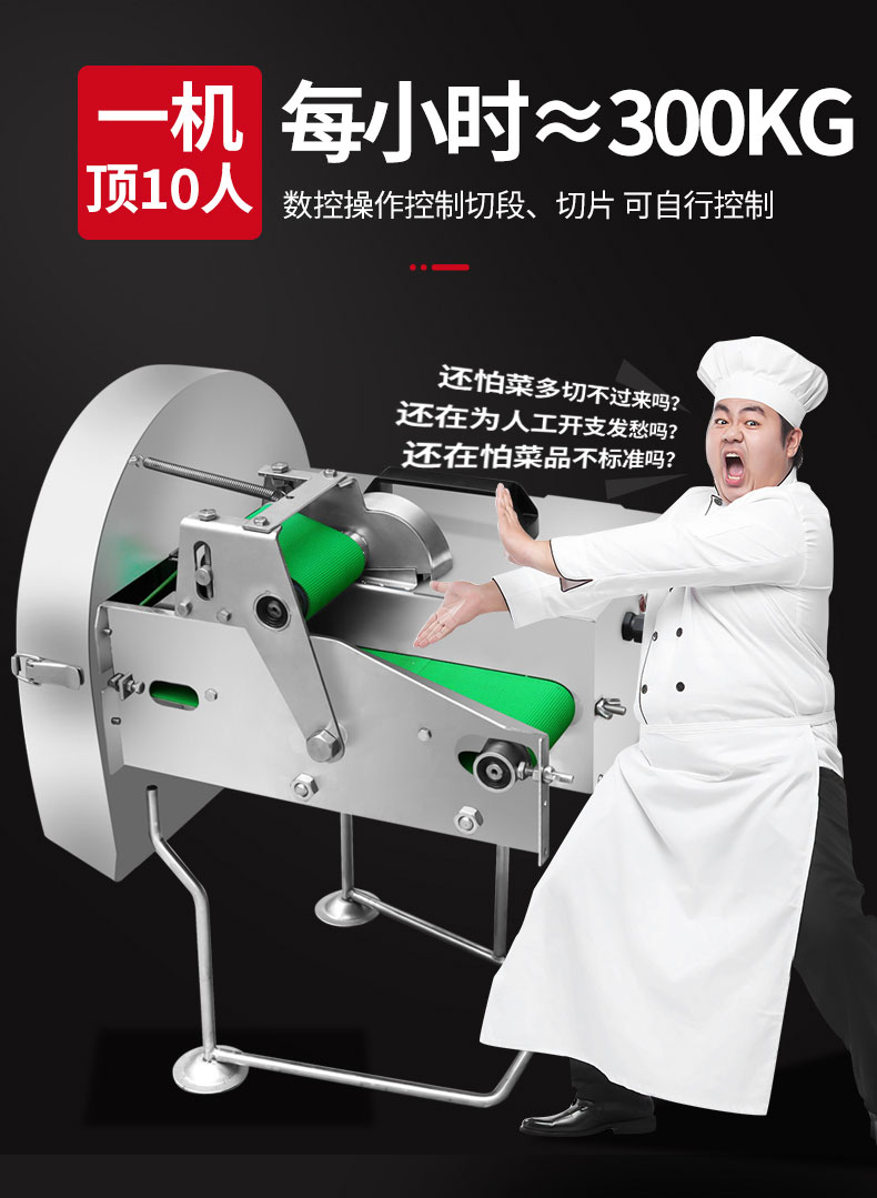 永利yl23411切葱机2 永利yl23411切葱机2