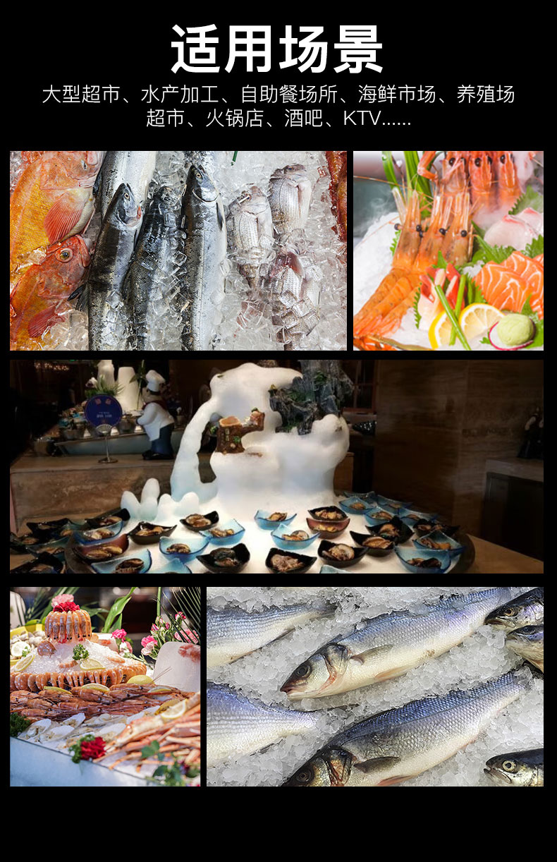 1681542341890602.jpg 片冰机适用场景